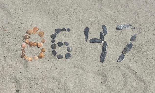Former FBI Director James Comey set social media ablaze with this cryptic image of shells on a beach reading '86 47' - a term that many took as a call to assassinate President Trump