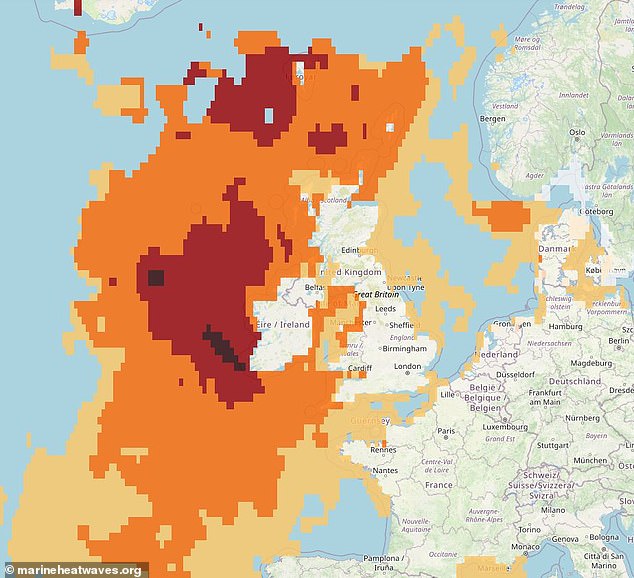 This map shows which areas are currently experiencing a moderate (yellow), strong (orange), severe (red), or extreme (black) heatwave in the latest data from March 19