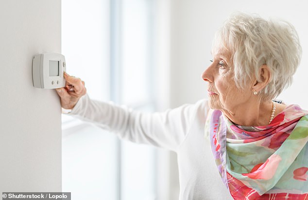 Winter Fuel Payment: The annual household payment worth up to £300 is intended to help older people with energy bills