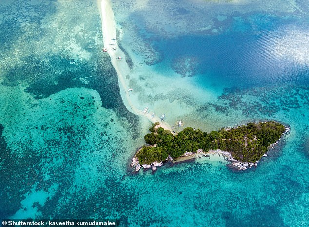 Ilha de Queimada Grande roughly translates as ‘the island of the slash-and-burn fire’