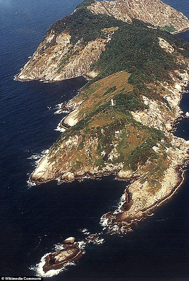 Ilha de Queimada Grande sits 20 miles (32 km) off the coast of Sao Paolo, Brazil , and is home to the golden lancehead viper