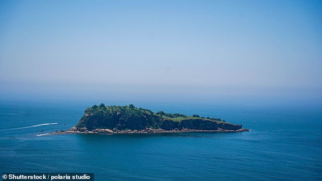 The island is devoid of almost any human visitors, expect for a few scientists who are granted permission to study the snakes each year