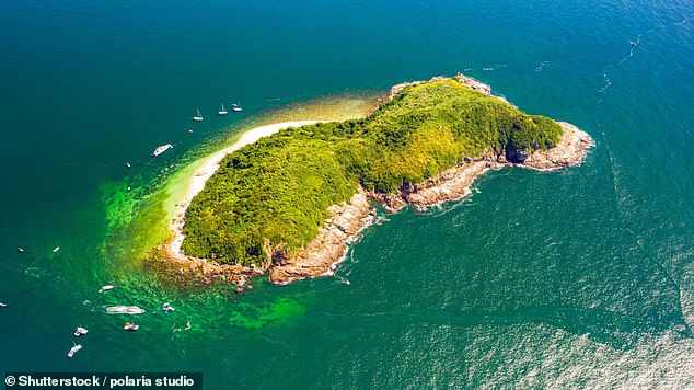 The island has come to be known as Snake Island with it being claimed there is one snake for every square metr