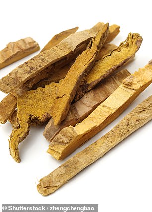 Phellodendron bark is a thick bark found in tropical parts of Asia