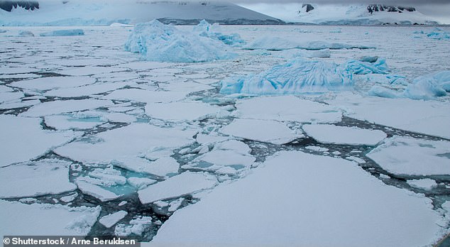 The West Antarctic Ice Sheet is the western segment of the Antarctic Ice Sheet - and is more strongly affected by climate change