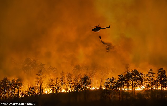 General Directorate of Emergencies issued the warning, which extends to Tenerife, Grand Canaria, La Palma, La Gomera and EI Heirro