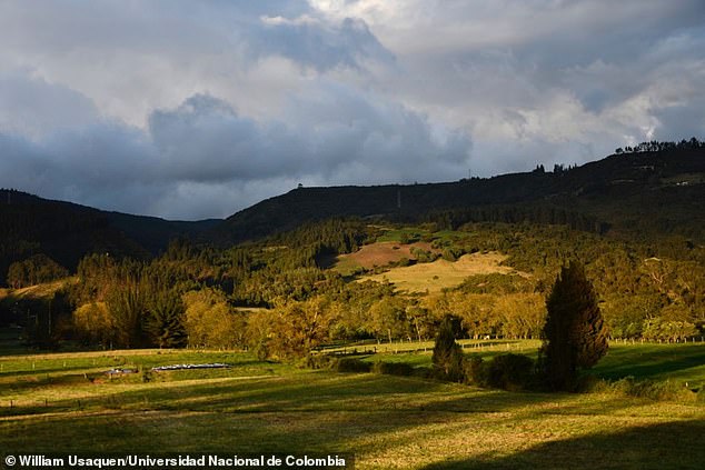Panoramic view of the Altiplano, the high plains around Bogotá.