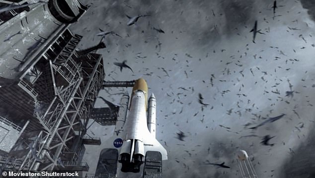 Another scene from the 2013 film, with man-eating sharks flying through the air. This phenomenon has never been reported in real life