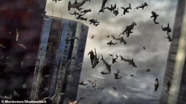 The incident is reminiscent of the film Sharknado, pictured, where sharks are lifted up by a tornado and then dropped on terrified citizens