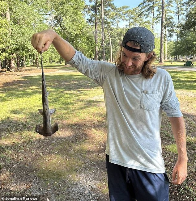Jonathan Marlowe holds up the small hammerhead, which was dead by the time it was dropped near where he was playing disc golf with friends