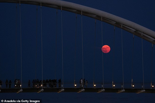 Major lunar standstill actually lasts for a period of two years, which is why we saw a very low Strawberry Moon this time last year. Pictured, Strawberry Moon rises over Humber Bay Arch Bridge in Toronto, Ontario, June 21, 2024