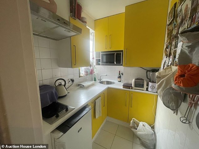 Compact: The property's kitchen makes good use of the available space