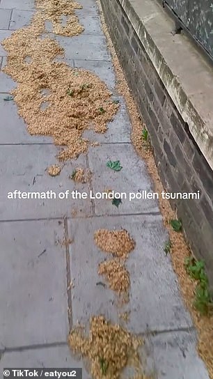 Footage posted online shows the aftermath of a 'pollen tsunami' in London