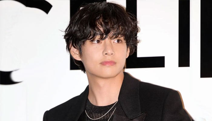 BTS V makes first appearance after long-awaited military discharge
