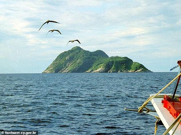 The island is believed to have become separated from the Brazilian mainland 11,000 years ago when sea levels rose