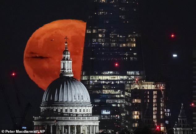 Pictured, the Strawberry Moon rises over St Paul's Cathedral and The Shard in central London on June 22, 2024. This year it will be even lower
