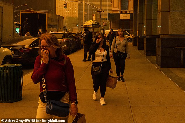 Canada experienced its worst wildfire season on record in 2023, when more than 45 million acres were lost. Huge swaths of the US , from the north east to the Great Lakes, were blanked in smog for several days as a result (pictured)