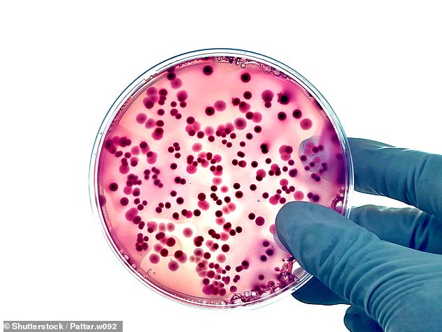 Health officials warned the number of travellers returning to the UK with the highly contagious—and potentially deadly infection—is now at an all-time high
