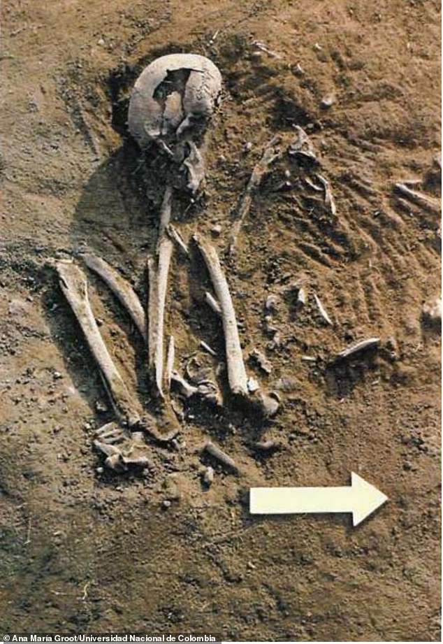Researchers found that the oldest individuals at Checua carried a unique ancestral signature that has completely disappeared from the gene pool. Their bloodline didn't simply mix or fade, but it vanished entirely.