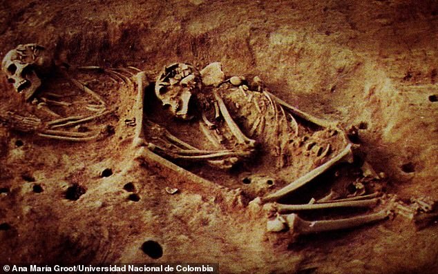 The skeletons of two hunter-gatherer individuals excavated at the Checua archaeological site (Bogotá Altiplano).