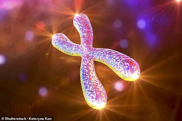 Every cell in our body, except red blood cells, contains DNA, a molecule that carries genetic instructions for life