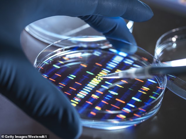 While medical treatments may still be years away, the work could eventually lead to new therapies, like virus-resistant tissues, lab-grown organs, or advanced cell-based medicine.