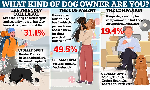 In a previous study, researchers surveyed 800 dog owners and found that they all fit into three distinct categories