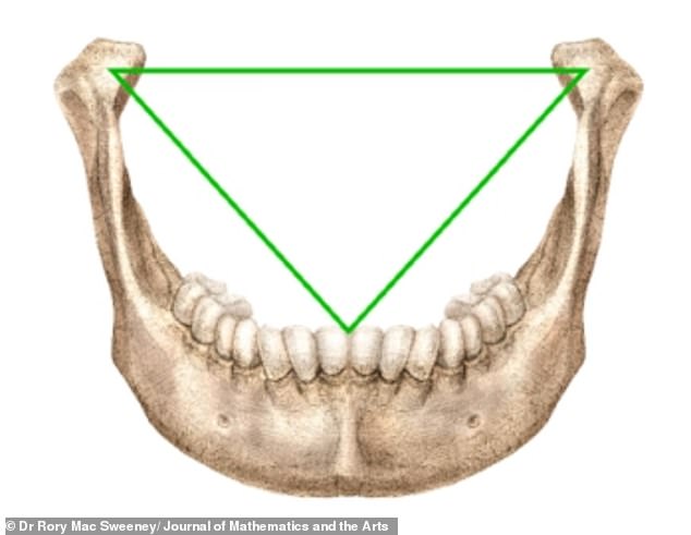 This triangle, which connects the jaw joints to the midpoint of the lower central incisors, 'corresponds precisely' to da Vinci's reference to an 'equilateral triangle' in his Vitruvian Man construction, Dr Sweeney said