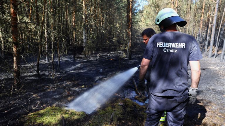 Firefighters work to extinguish a wildfire during a heatwave, nearby the village of Kleinbahren, Germany.
Pic Reuters