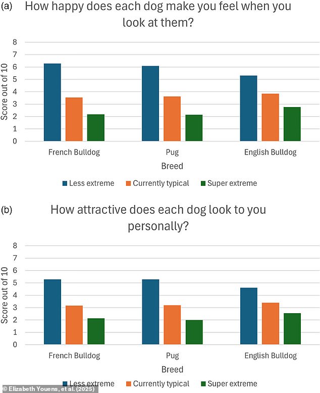 Researchers found that Britons consistently rated less extreme body shapes (dog 1 in the test samples) as more attractive, healthier, and more ethical to breed than more extreme versions