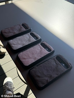 BEFORE: When it's in the shade, the case is beige, tan, or dark brown, depending on the design