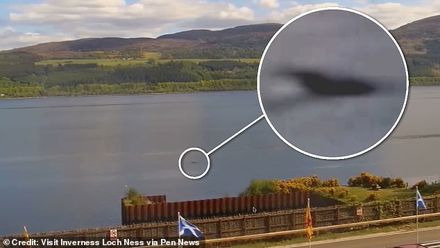This is the 'spectacular' moment a baby Nessie devours its prey, revealing its long neck and hump above the water, a monster hunter claims