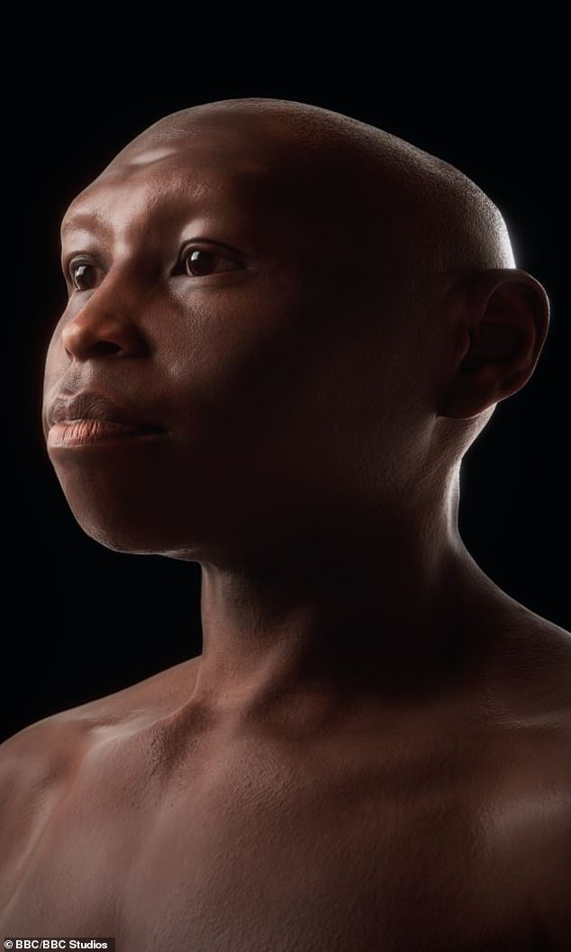 Homo floresiensis (pictured) was a tiny, island-dwelling human species which stood at no more than three and a half feet tall and lived between 700,000 and 50,000 years ago