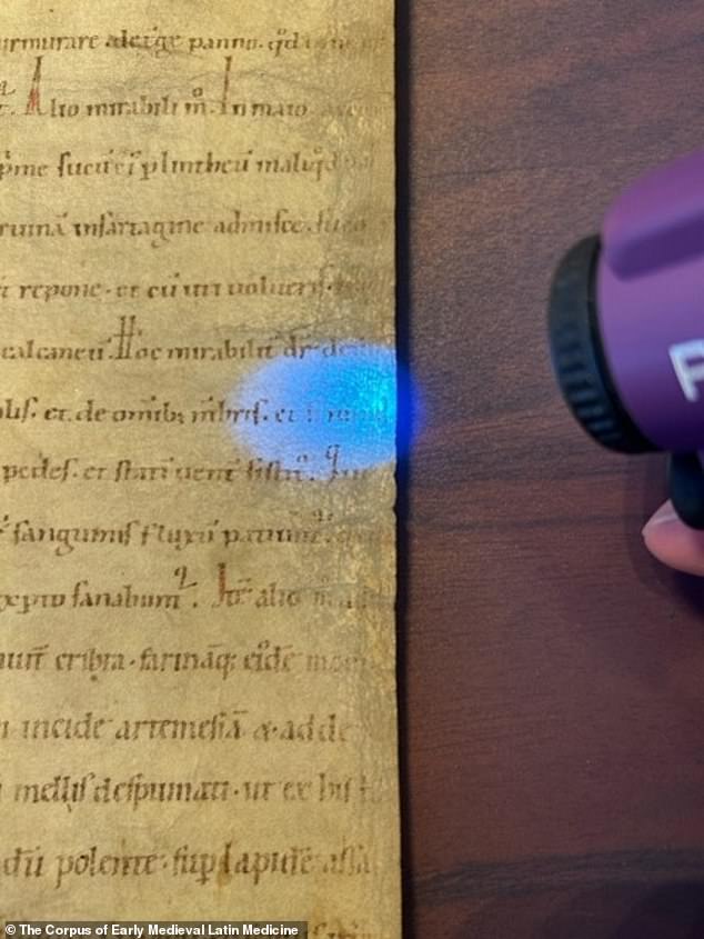 The hundreds of manuscripts collected by The Corpus of Early Medieval Latin Medicine often include recipes scribbled into margins or jotted down in any available space
