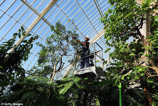 Built by architect Decimus Burton and iron-maker Richard Turner between 1844 and 1848, The Palm House was the first large scale structural use of wrought iron