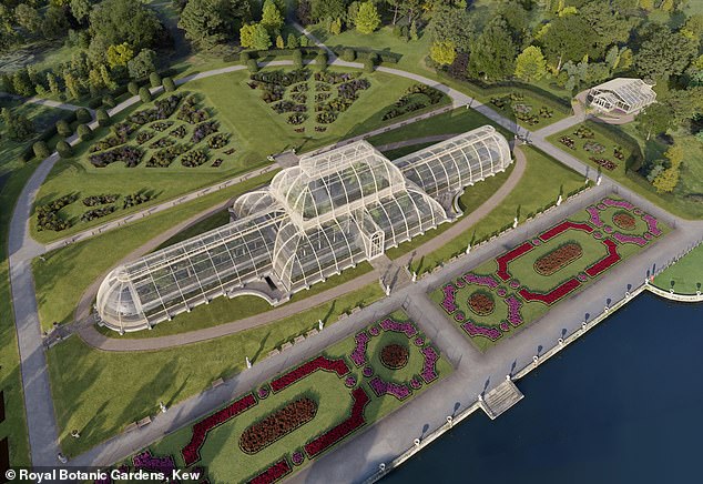 The ambitious project is not expected to start until 2027, and will last four to five years, experts at Kew estimate