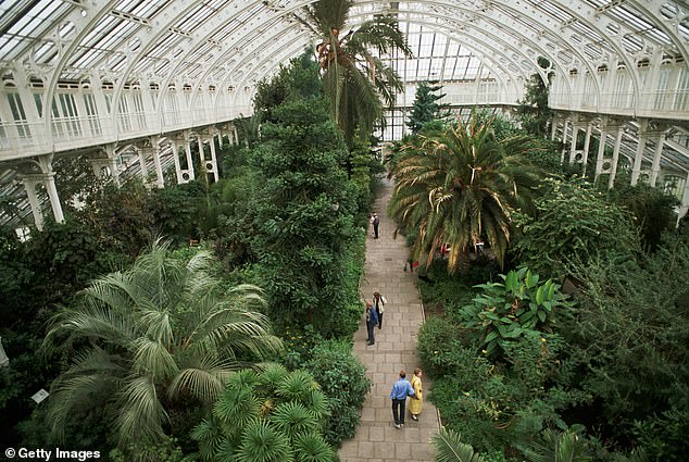 The Palm House is home to world's oldest potted plant. Palm House's hard-to-find exotic species are threatened if the building is not better designed to retain heat and humidity.