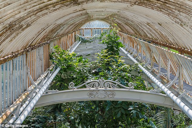Experts consider it to be the most important surviving Victorian iron and glass construction in the world, but it shows obvious signs of wear and tear