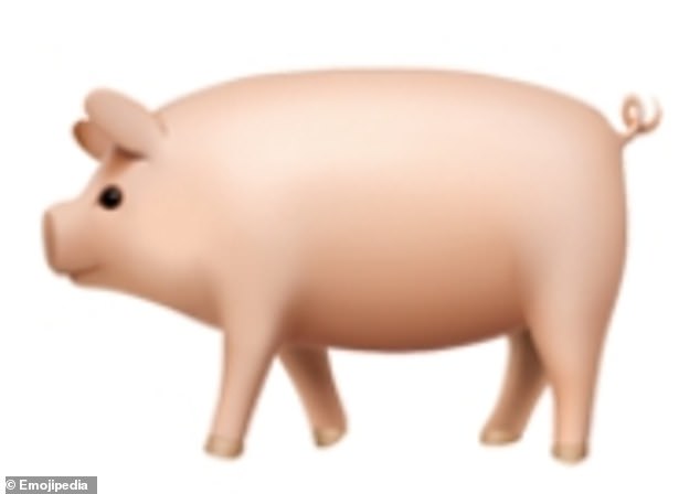 The humble pig - depicted in light pink in full profile on all fours facing left, with a long snout and short, curly tail - is the 999th most popular emoji in the UK