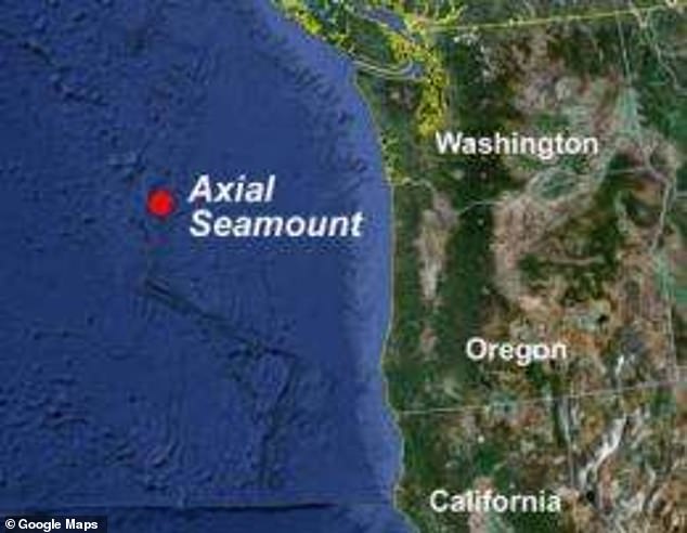 Axial Seamount sits 300 miles off the coast of Oregon and more than 4,900 feet below the surface of the Pacific Ocean