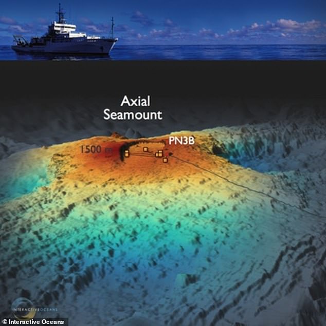 In November 2024, Oregon State University geophysicist William Chadwick noticed its surface had swelled to nearly the same height it reached before its last eruption 10 years ago