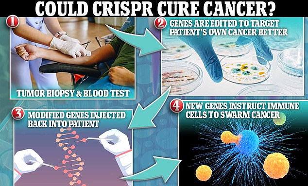 Using CRISPR to treat an adult's cancer is expensive and time-consuming, treating them before they are born could cost as little as a few thousand pounds, according to Mr He
