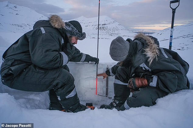A snow pit on Autre Brøggerbreen, March 1, 2025. The snow depth (from the snow surface to the glacier ice surface) was 60 cm, with multiple ice layers throughout the snowpack - indicating that February’s melting event was not a one-off occurrence this winter