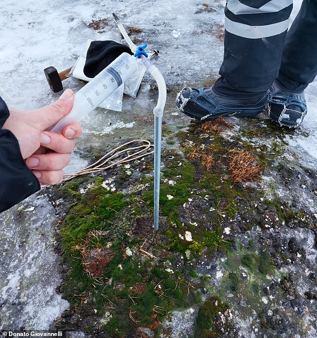 Researchers report: 'Vegetation emerged through the melting snow and ice, displaying green hues typically associated with spring and summer'