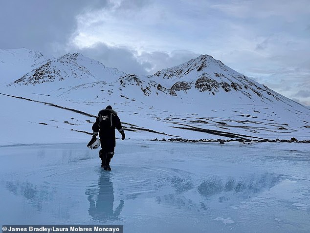 Rainfall over Svalbard triggered widespread snowmelt and pooling of meltwater, which the researchers were able to walk through like giant puddles. Pictured, a meltwater pooling above frozen ground at the snout of Midtre Lovénbreen glacier, February 26, 2025