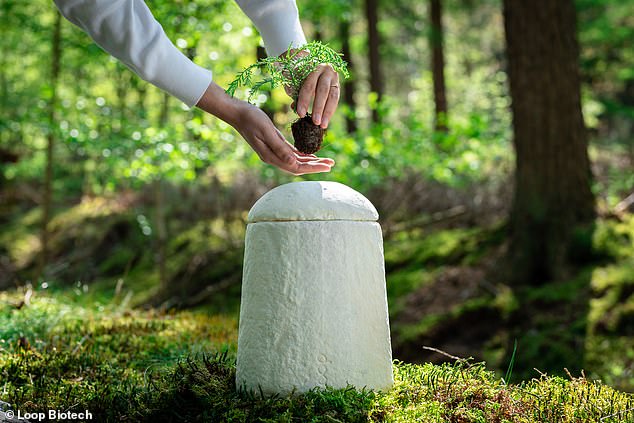 Loop Biotech also provide environmentally-friendly urns, made of the same material, which biodegrade once buried