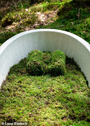 The casket comes with a bed of moss, complete with a 'pillow'