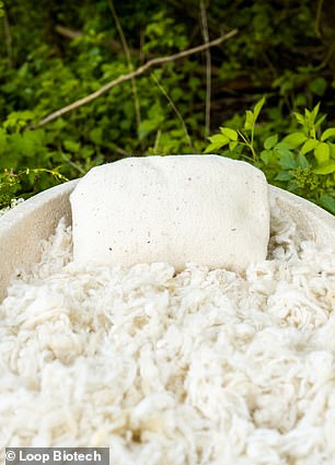 Buyers have the option of 'upgrading' to a bed of wool