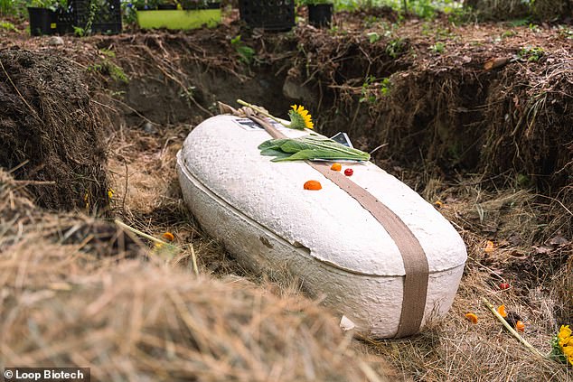 So far, the company has sold around 2,500 caskets in Europe – mostly in the Netherlands – but their coffins are also available to be shipped to the UK