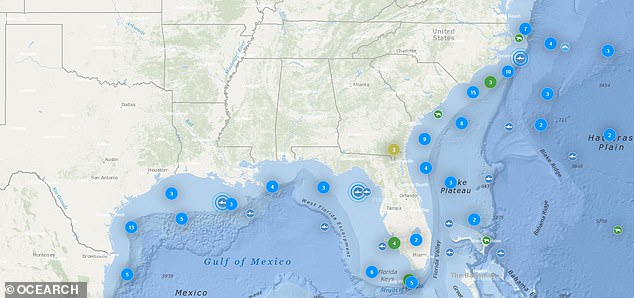The nonprofit marine research group OCEARCH has tagged and tracked 92 white sharks along the US coastline over the last decade